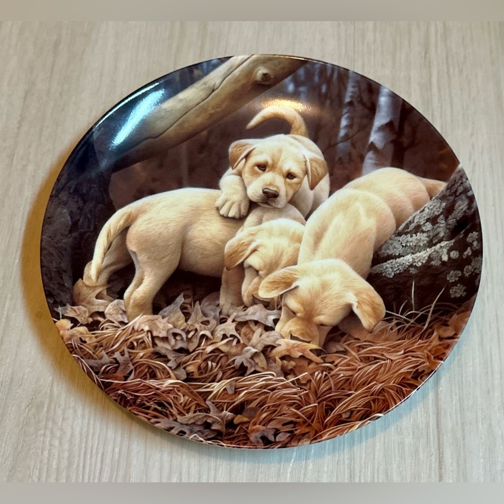 Limited Edition Bradford Exchange Collector Plate - Labrador Retriever Puppies